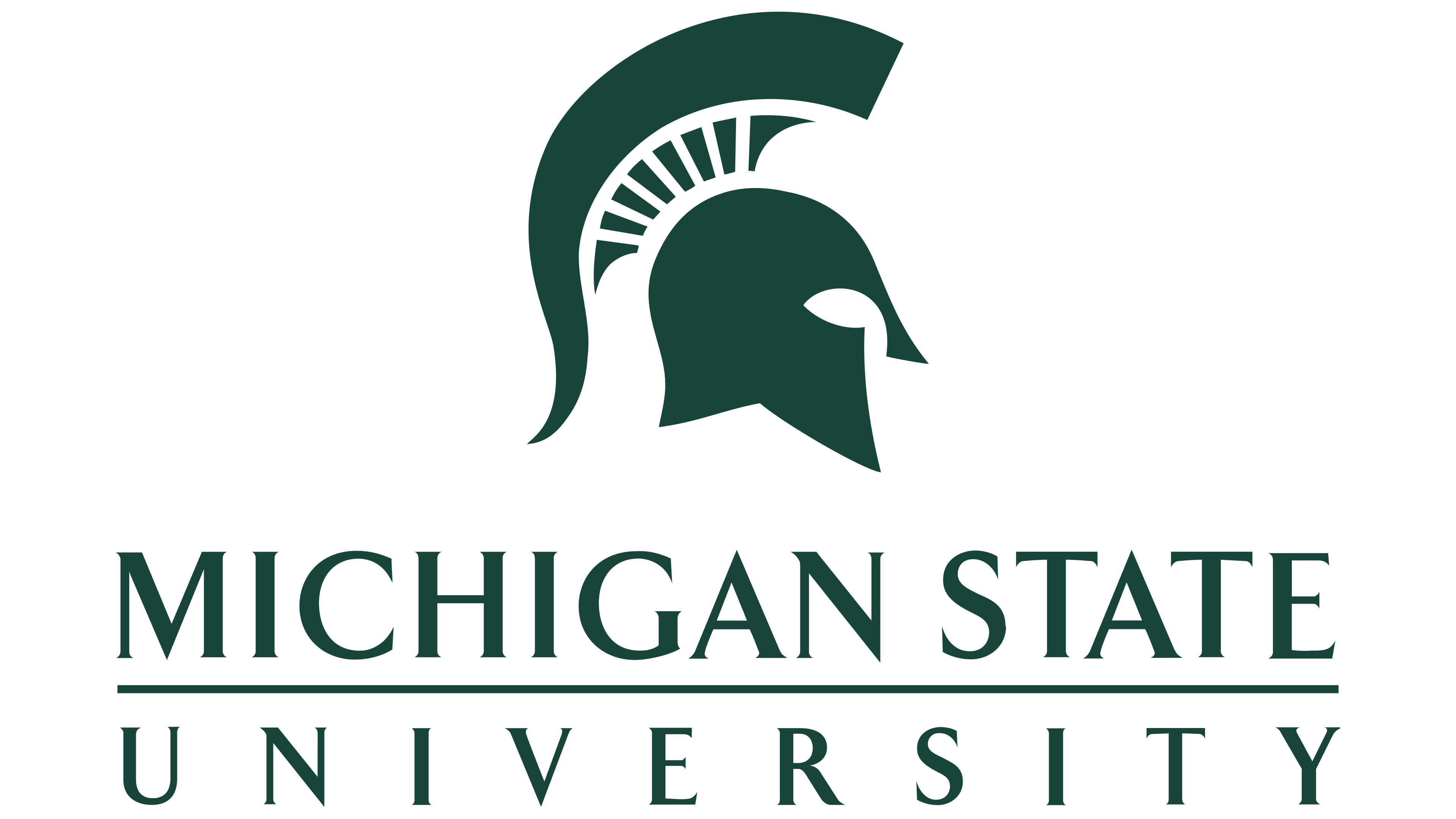 MSU logo